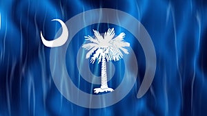 South Carolina State Loopable Flag
