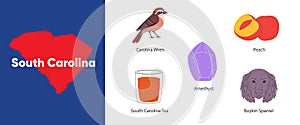 South Carolina states symbol object boykin spaniel peach amethyst carolina wren America country illustration