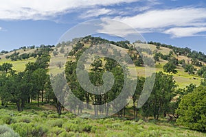 Tehachapi landscape in California photo