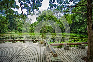 South China Botanical Garden