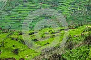 South coast of Madeira island - Portugal