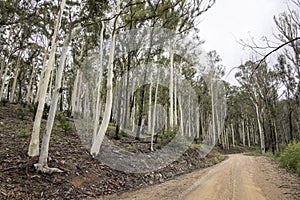 South Coast NSW Australia