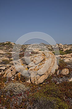 South Corsica Landscape