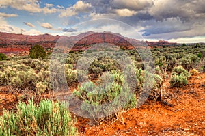 South Coyote Buttes