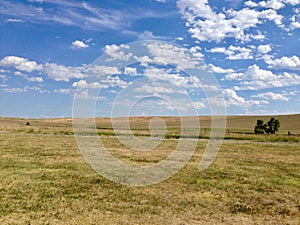 South Dakota grassland landscape in summer