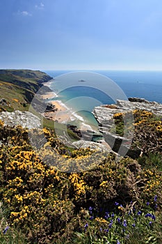 South Devon Coastline England