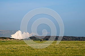 South Downs in East Sussex, England