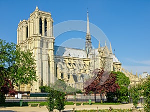 South facade of the Cathedrale Notre-Dame de Paris photo