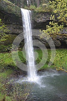 Image 2 South Falls flows off lava cliff, Silver Falls State Park, Oregon