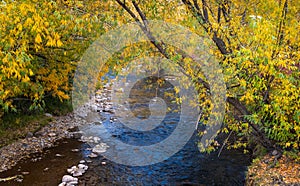 South Fork Ogden river in Utah