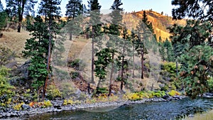 South Fork Payette River