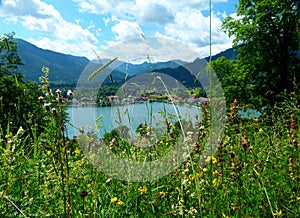 South german landscape with lake and mountains and cloud sky velvet meadow in foreground