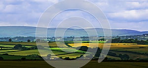 South hams countryside