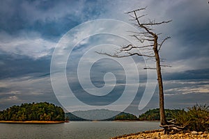 South Holston Lake Bristol Tennessee