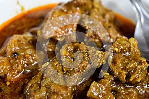 South Indian cuisine Kerala Style Beef curry / roast. Traditional style meat curry. Indian spicy curry. Selective focus photograph