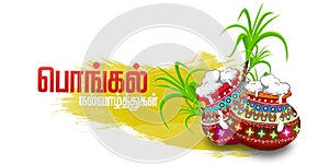 South Indian Festival Pongal Background Template Design Illustration - Pongal Festival Background and elements with translate