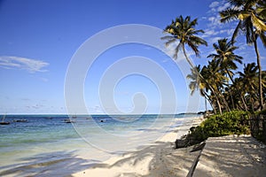 South Jambiani beach Zanzibar Island