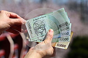 South Korean won cash