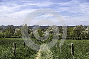 South Limburg is fantastic in spring because of the palette of flowering crops and trees that color the landscape.