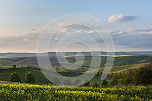 South Moravia landscape and farmland during sunset