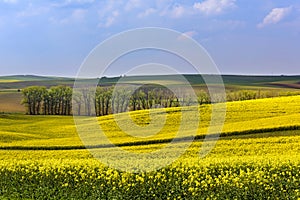 South Moravia landscape and fields