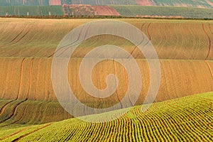 South Moravian fields, Czech Republic fields, moravian hills