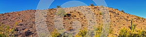 South Mountain Park and Preserve, Pima Canyon Hiking Trail, Phoenix, Southern Arizona desert.