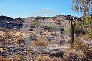 South Mountain Park and Preserve, Pima Canyon Hiking Trail, Phoenix, Southern Arizona desert.