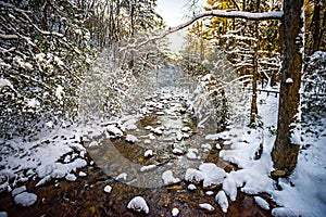 South mountain stream in winter woods