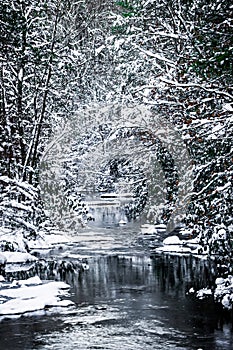 South mountain stream in winter woods