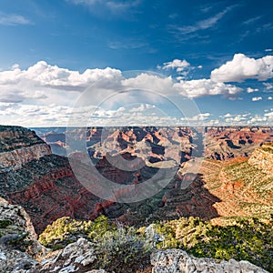 South Rim Grand Canyon