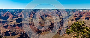South Rim Grand Canyon photo