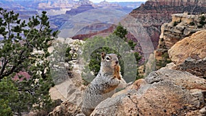 South Rim - Grand Canyon - Arizona - USA