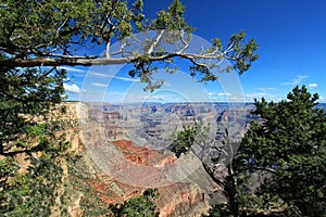 South Rim`s - Grand Canyon National Park - Arizona