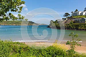 South sands beach Salcombe Devon UK beach in the estuary in summer