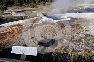 South Scalloped Spring in Yellowstone National Park