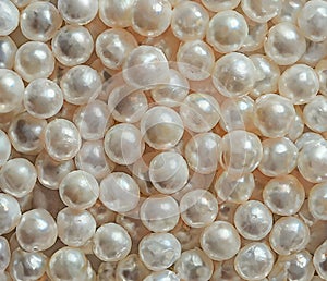 South sea pearls full frame photo