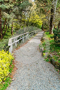 South_Seattle_Garden_Path 2