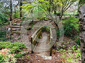 South_Seattle_Garden_Path 3