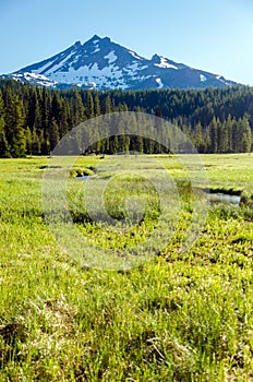 South Sister and Meadow