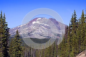 South Sister Mountain through the Trees