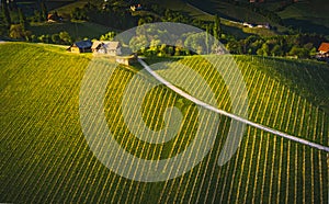 South styria vineyards aerial panoram landscape, Grape hills view from wine road in spring