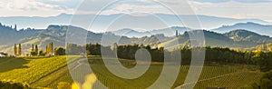 South styria vineyards landscape, near Gamlitz, Austria, Eckberg, Europe. Grape hills view from wine road in spring