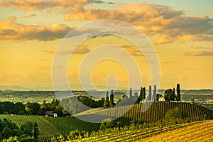 South styria vineyards landscape, near Gamlitz, Austria, Europe. Grape hills view from wine road in spring. Tourist destination,