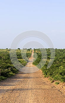 South Texas Ranch Road photo