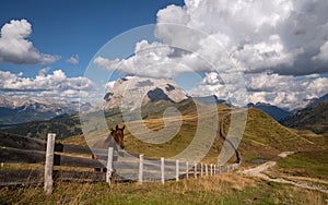 South Tirol with famous Schlern mountain, Italy, Europe