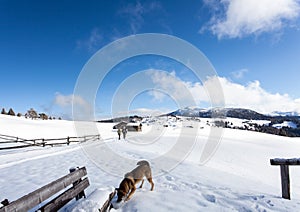 south tirol winter hiking travel landscape people activ