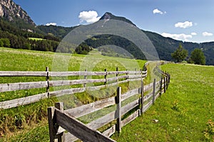 South Tyrol, meadows photo