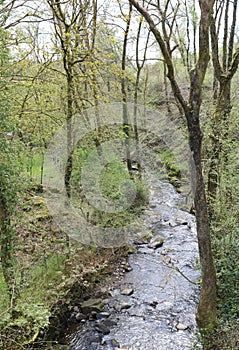 south wales mountain stream