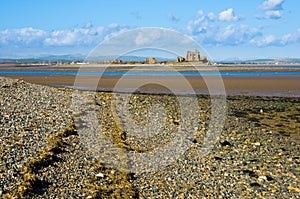 South Walney beach and Piel Island photo